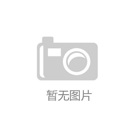 组织沿革（下）